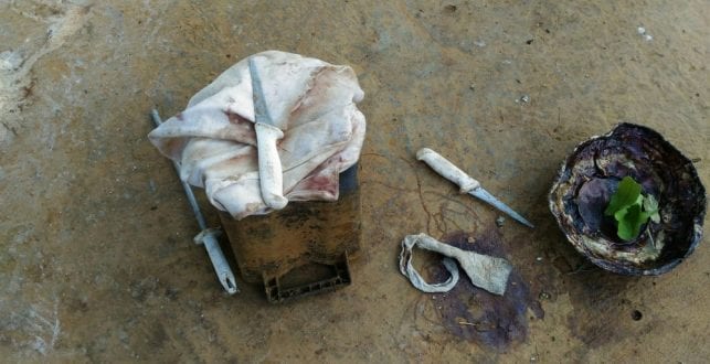 Instrumentos cortantes e couro animal foram apreendidos na zona rural de Glaucilândia - Foto: IMA