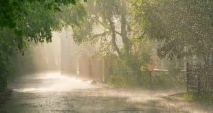 Primavera começa com chuva neste sábado, mas temperaturas devem subir no decorrer da estação