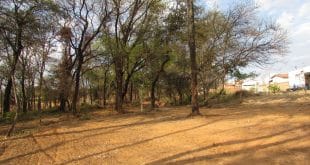 População de Montes Claros ganhará mais uma área verde com Ecopista