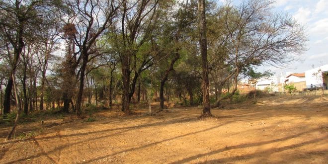 População de Montes Claros ganhará mais uma área verde com Ecopista