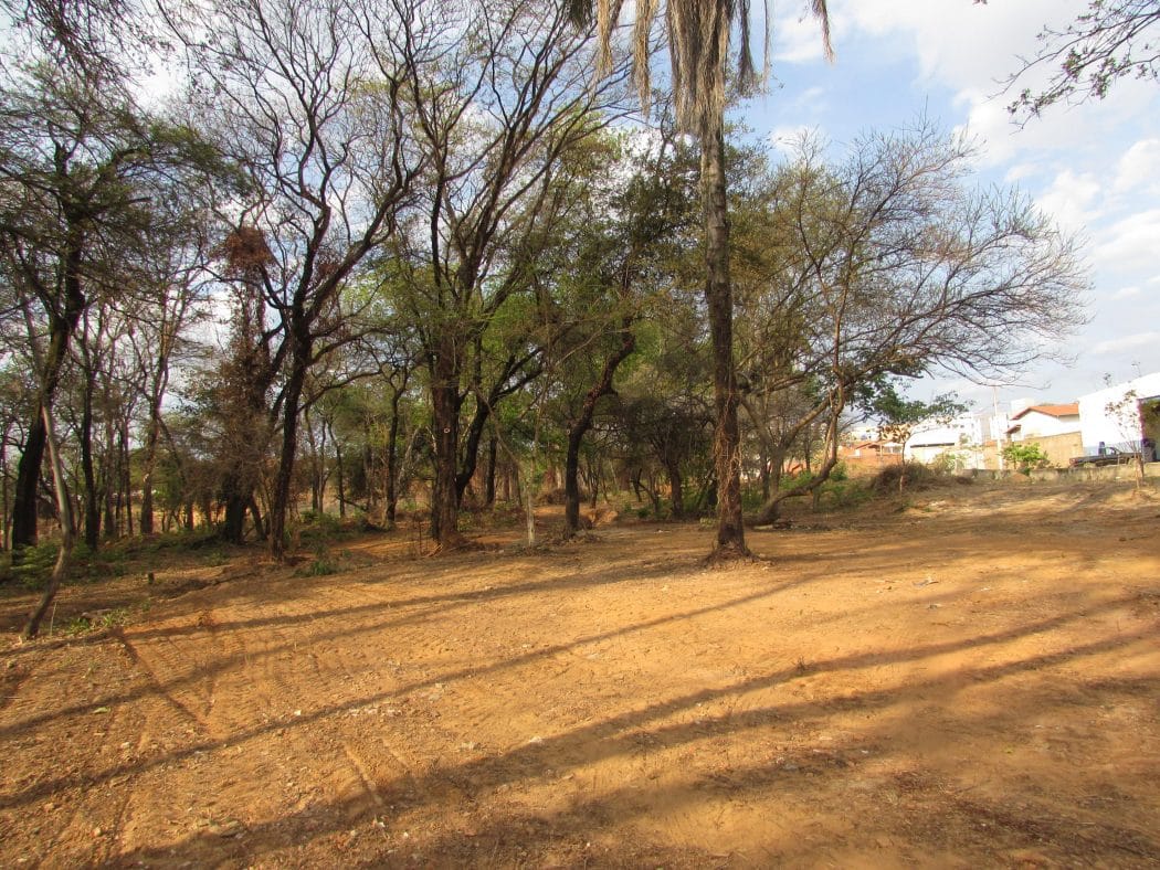 População de Montes Claros ganhará mais uma área verde com Ecopista