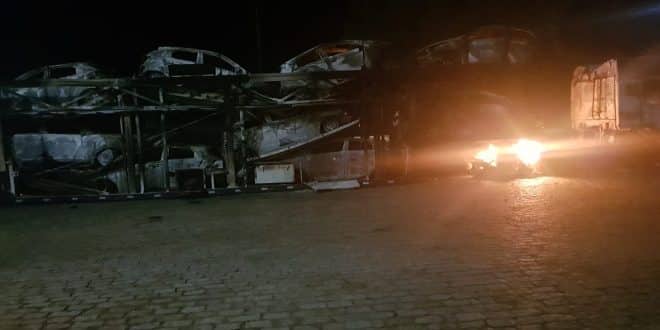 Cegonheiras pegam fogo no Norte de Minas Gerais