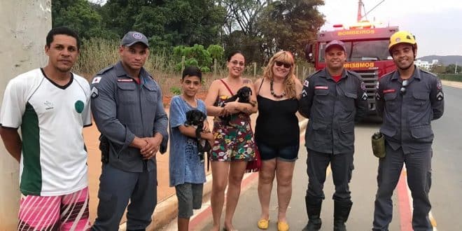 A equipe do Eu Salvo, junto aos bombeiros que fizeram o resgate dos cães. Foto: CBMMG