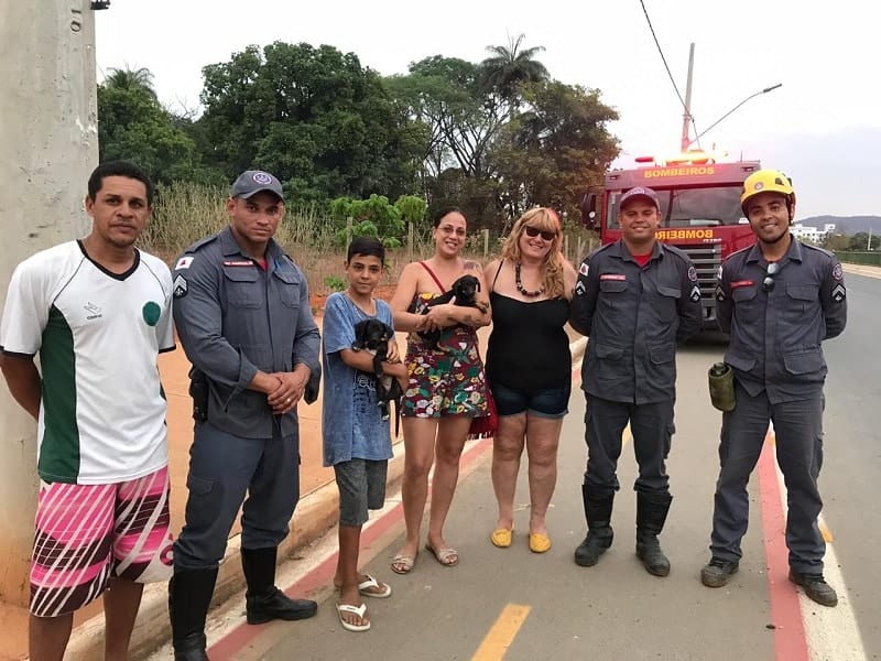 A equipe do Eu Salvo, junto aos bombeiros que fizeram o resgate dos cães. Foto: CBMMG