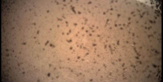 Primeira imagem enviada pela sonda Insight de Marte