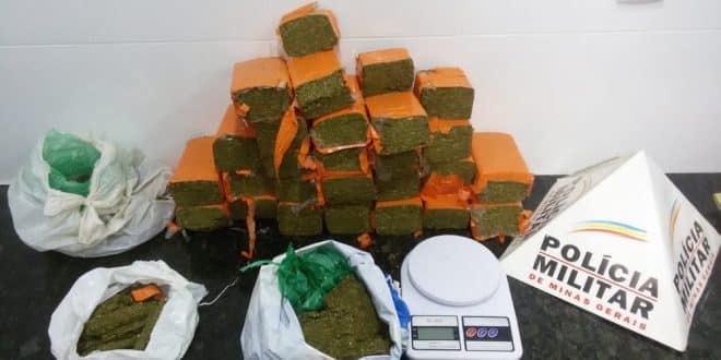 PM apreende grande quantidade de maconha no Norte de Minas