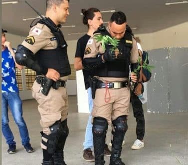 Pés de maconha é localizado em um canteiro na Universidade Estadual de Montes Claros