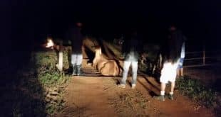 Bombeiros em Montes Claros resgata cavalo preso em “Mata-Burros”