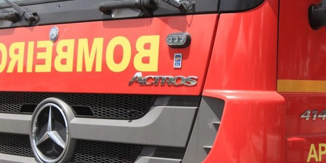 Cadela é salva pelo Corpo de Bombeiros após cair em uma piscina em Montes Claros