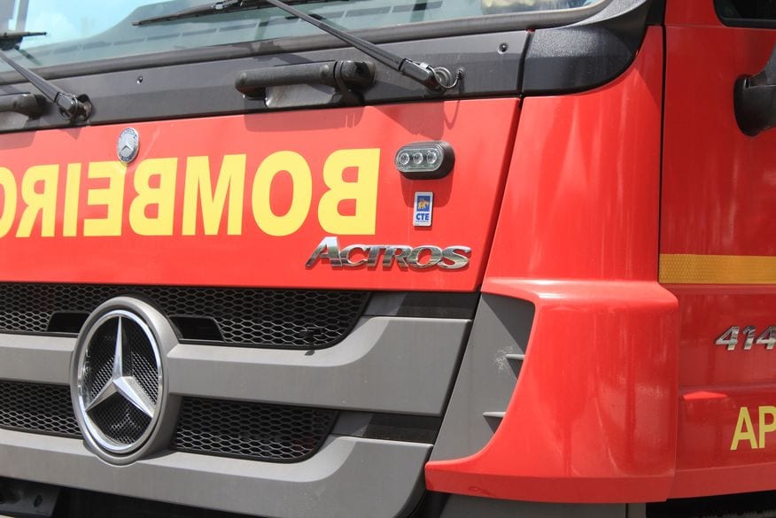 Cadela é salva pelo Corpo de Bombeiros após cair em uma piscina em Montes Claros