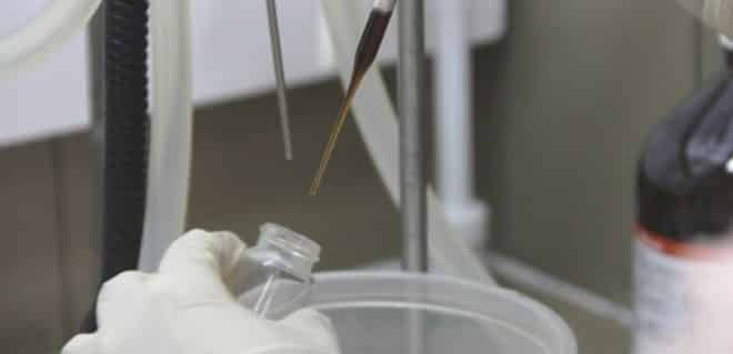 Pesquisadoras da UFOP descobrem cura para a Doença de Chagas em animais de laboratório