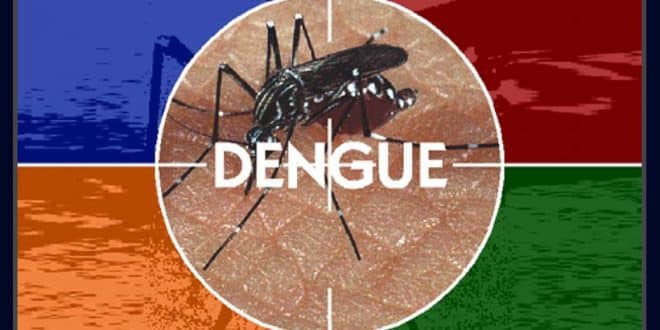 Três mortes por suspeita de dengue são investigadas em Minas