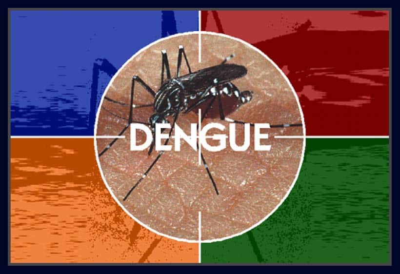 Três mortes por suspeita de dengue são investigadas em Minas