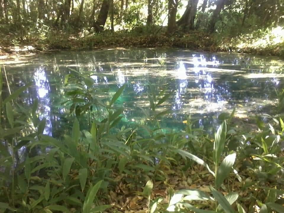 Nascente do Rio Tamboril
