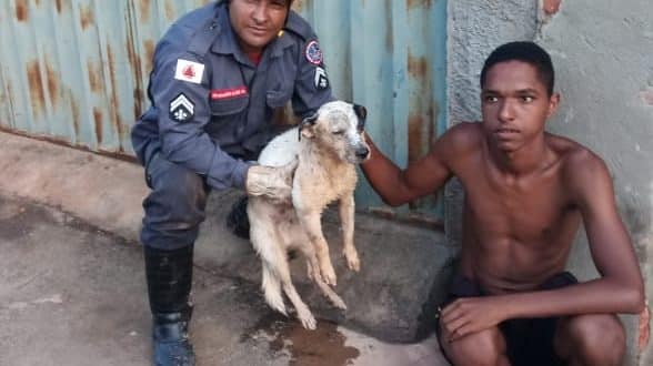 Cachorro é resgatado pelo Corpo de Bombeiros após cair em cisterna em Montes Claros