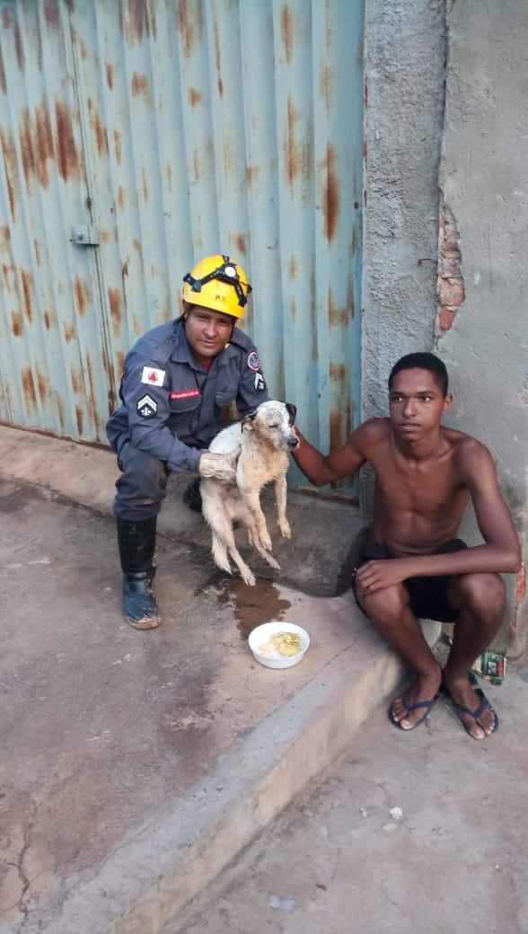 Cachorro é resgatado pelo Corpo de Bombeiros após cair em cisterna em Montes Claros