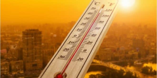 Norte de Minas - Veranico registrado em Janeiro é um dos mais intensos dos últimos cinco anos, afirma meteorologista