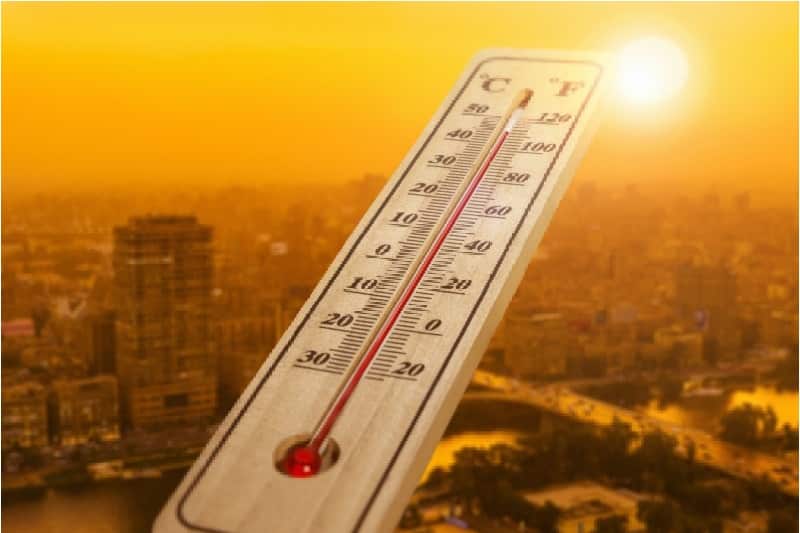 Norte de Minas - Veranico registrado em Janeiro é um dos mais intensos dos últimos cinco anos, afirma meteorologista