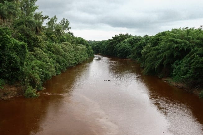 Danos no rio Paraopeba são irreversíveis, mas graças a ele o rio São Francisco pode ser poupado