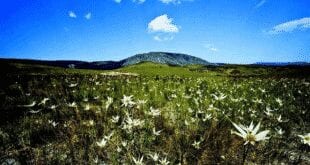 Serra do Espinhaço, uma das áreas protegidas em Minas Gerais