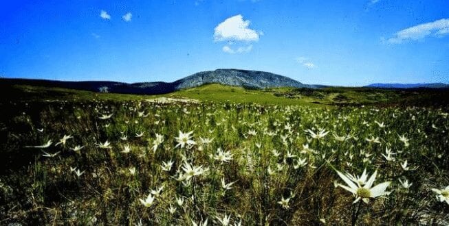 Serra do Espinhaço, uma das áreas protegidas em Minas Gerais