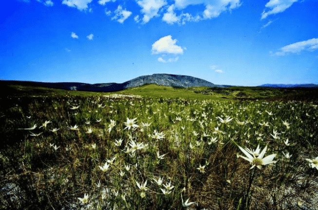 Serra do Espinhaço, uma das áreas protegidas em Minas Gerais