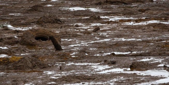 Tragédia de Brumadinho – Usina de Rio Baixo é desligada para barrar fluxo da lama antes que ela chegue ao São Francisco