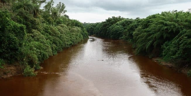 Danos no rio Paraopeba são irreversíveis, mas graças a ele o rio São Francisco pode ser poupado