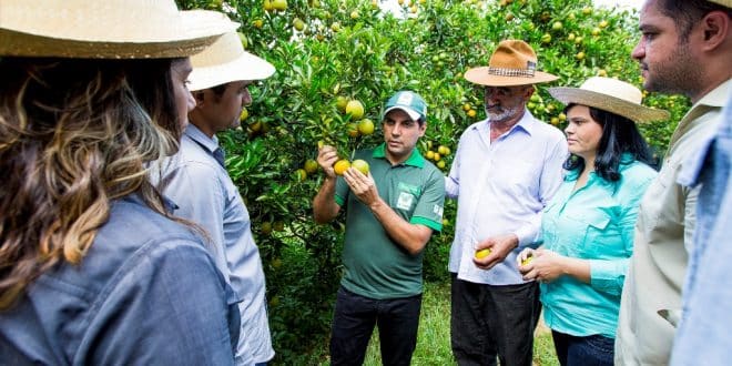 Sindicato Rural de Montes Claros já mobiliza alunos para cursos de 2019