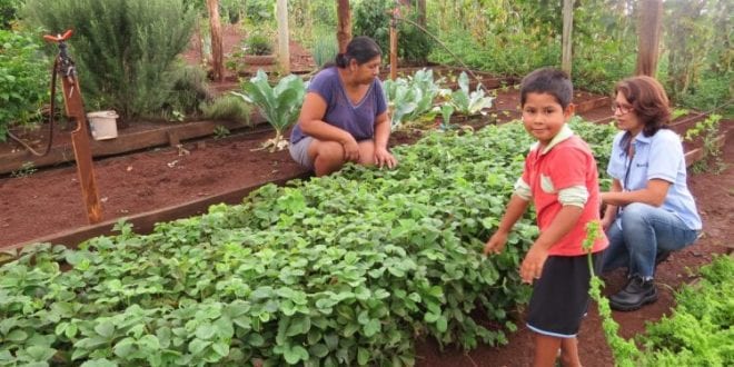 Projeto da Anater beneficia indígenas e quilombolas do Rio Grande do Sul