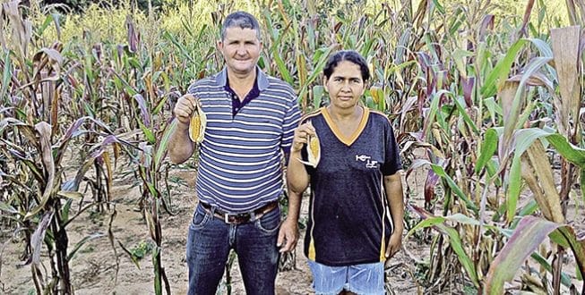 Montes Claros - Câmara Municipal de Montes Claros pede ampliação do decreto de calamidade hídrica