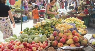 Montes Claros - Praça dos Jatobás em Montes Claros poderá ganhar feira livre