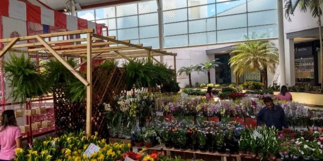 Montes Claros - Feira de Flores e Plantas no Montes Claros Shopping
