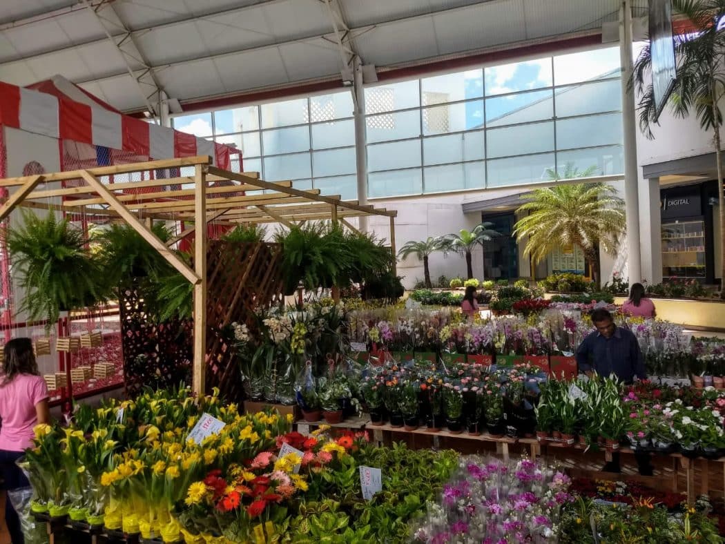 Montes Claros - Feira de Flores e Plantas no Montes Claros Shopping