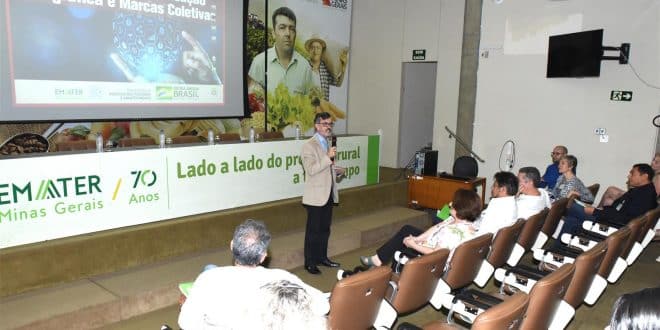 Norte de Minas - Emater Minas investe em capacitação sobre registro de Indicação Geográfica de produtos
