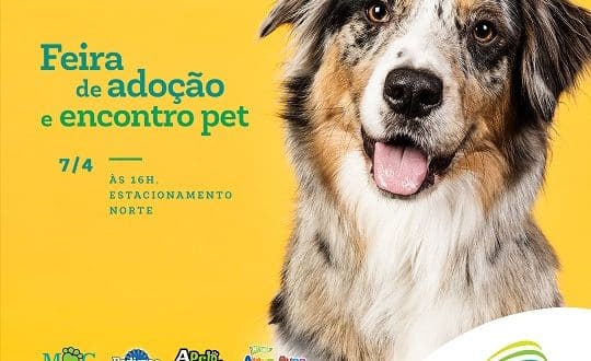 Montes Claros - Montes Claros Shopping recebe feira de adoção e encontro de pets