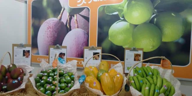 Norte de Minas - Expô Janaúba terá estande dedicado à fruticultura