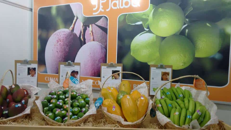 Norte de Minas - Expô Janaúba terá estande dedicado à fruticultura
