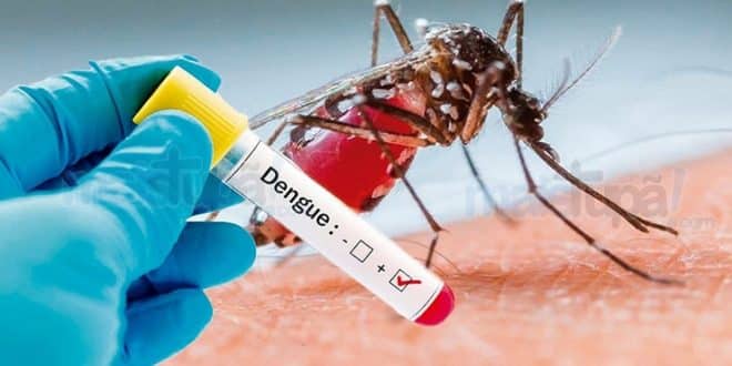 MG - Chega a 25 o número de mortes confirmadas por dengue em Minas Geraris