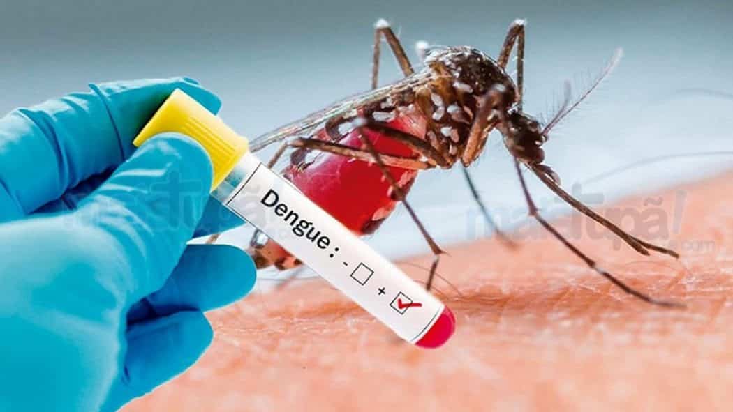 MG - Chega a 25 o número de mortes confirmadas por dengue em Minas Geraris