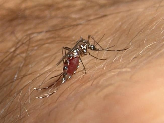 Montes Claros - Dengue leva Montes Claros a decretar situação de emergência em saúde pública
