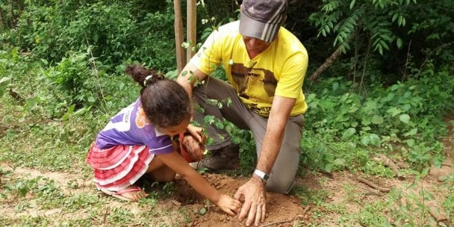 Montes Claros - Dia do Meio Ambiente é celebrado em Montes Claros