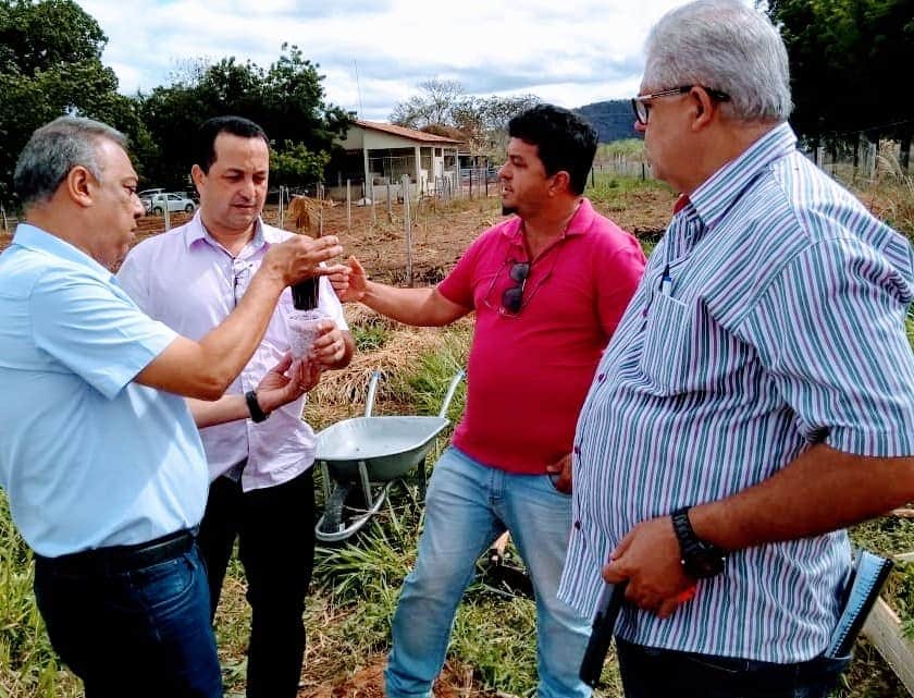 Norte de Minas - Prefeitura, Emater e Instituto Federal juntos pela agricultura familiar de Januária - Foto: José Maria Guedes