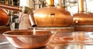 MG - Palestras de especialistas movimentam a 29ª Expocachaça