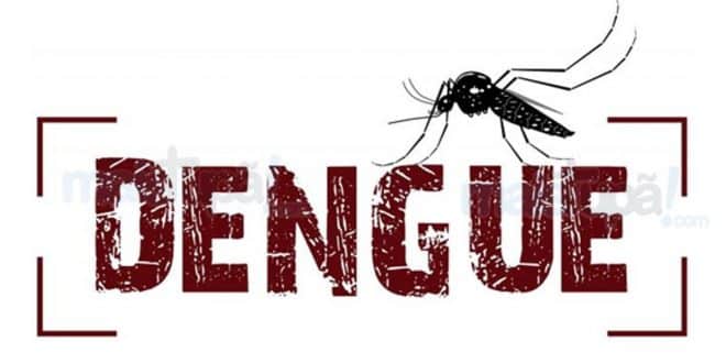 MG - Minas Gerais registra a segunda maior epidemia de dengue da história