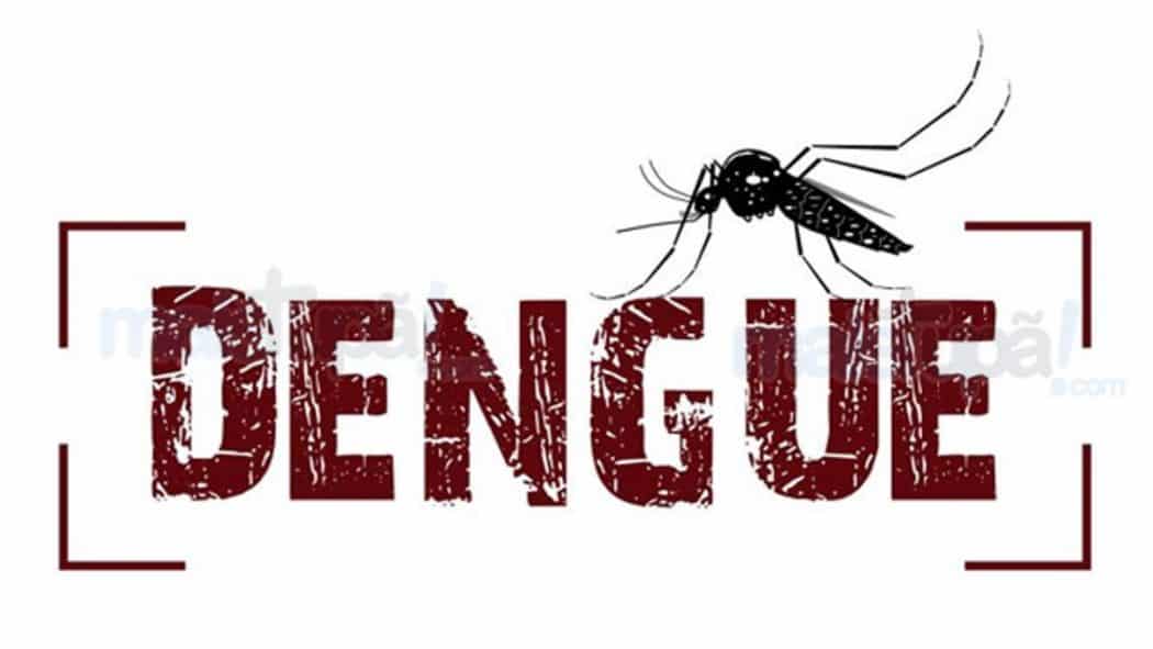 MG - Minas Gerais registra a segunda maior epidemia de dengue da história