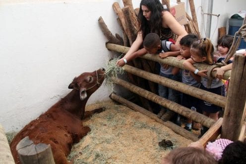 Montes Claros - Abertas as inscrições para a Mini Fazenda da  Expomontes 2019