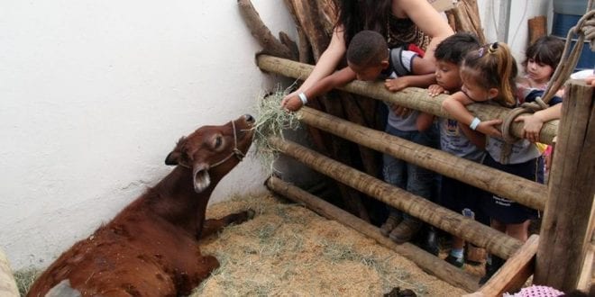 Montes Claros - Abertas as inscrições para a Mini Fazenda da  Expomontes 2019