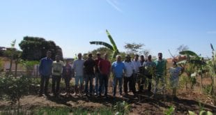Montes Claros - População adota área verde da Prefeitura para cultivar hortas comunitárias