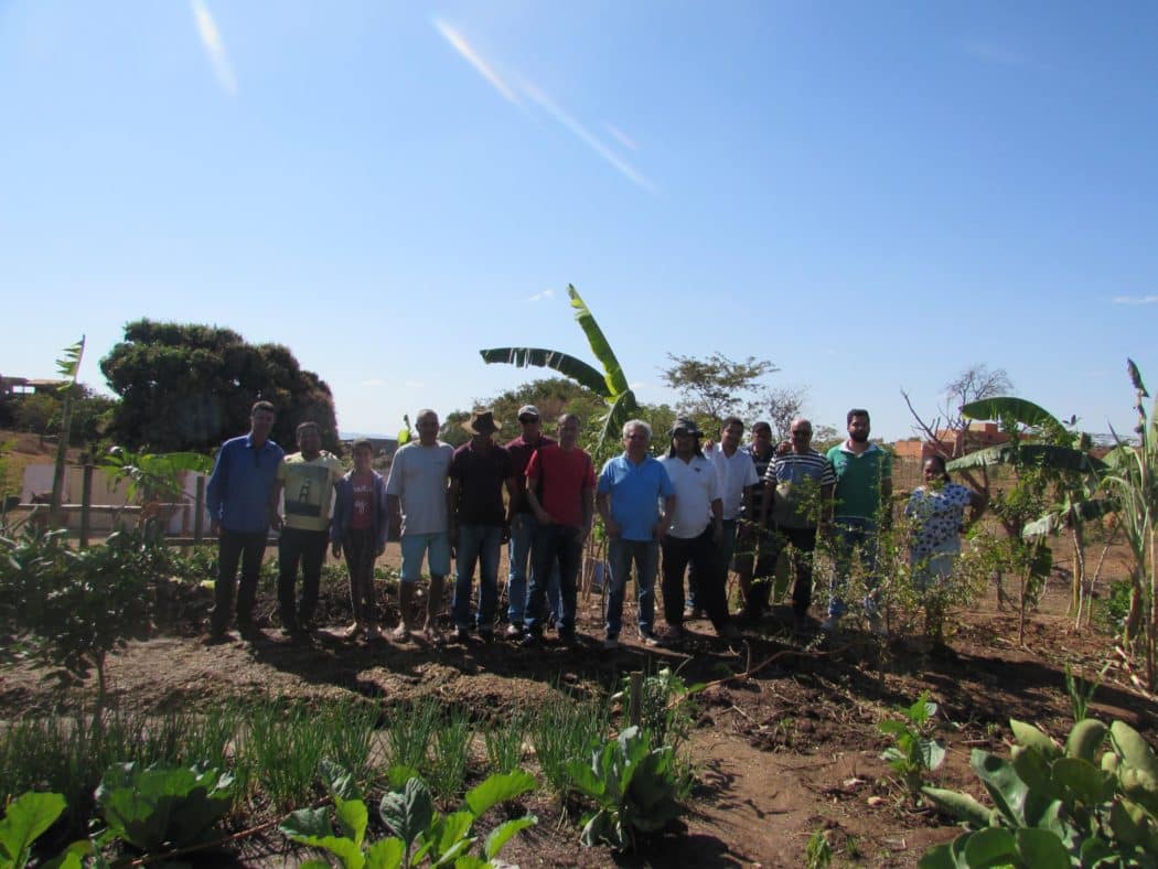 Montes Claros - População adota área verde da Prefeitura para cultivar hortas comunitárias